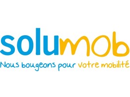 Logo Vinyl 1 colour Solumob Classique 80cm white