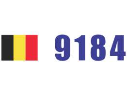 Logo vlag   cijfer Civiele Bescherming blauw klasse I