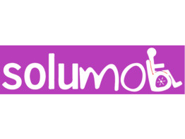Logo 1 kleur - Solumob Mobilite Reduite 75x25cm  W