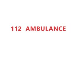 Schriftzug  AMBULANCE   Motorhaube und Heckturen 